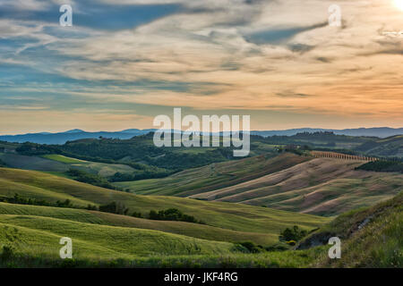 L'Italia, Toscana, Val d'Orcia, prati in estate Foto Stock