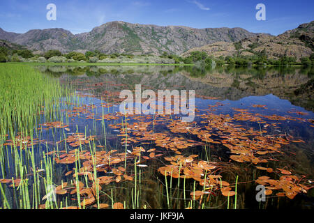 Lago de Sanabria Riserva Naturale, provincia di Zamora, Castilla Leon, Spagna Foto Stock