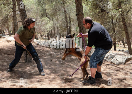 Efrat, West Bank. 23 Luglio, 2017. Il cane di Israele, unità di IDU, non profit Unità canina, treni di cani per salvare la vita di lavoro nel settore della sicurezza, ricerca e salvataggio, per il fissaggio di abitazioni e insediamenti. Un recente intrusione terroristica in un insediamento Halamish home ha portato alla accoltellato di quattro e l'assassinio di tre israeliani. Credito: Nir Alon/Alamy Live News Foto Stock