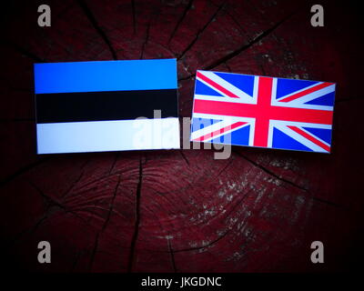 Bandiera dell'Estonia con la bandiera del Regno Unito su un ceppo di albero isolato Foto Stock