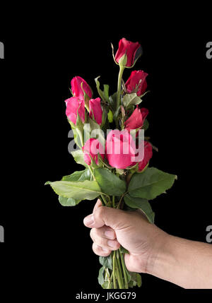 Rosso e rosa rose sul lato uomo isolato su sfondo nero Foto Stock