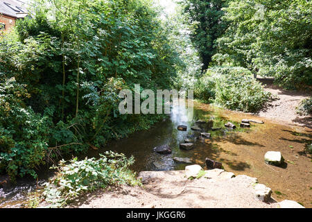 Fiume Ver entro Verulamium Park, St Albans, Hertfordshire, Regno Unito Foto Stock