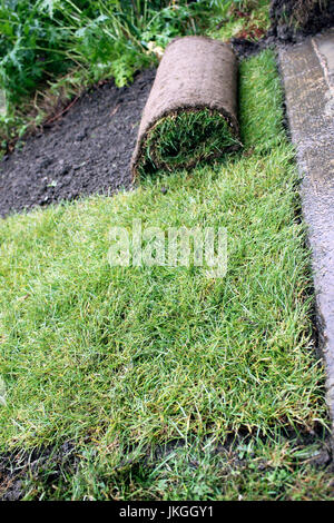 Rotoli di tappeto erboso giardino facendo una nuova prato Foto Stock