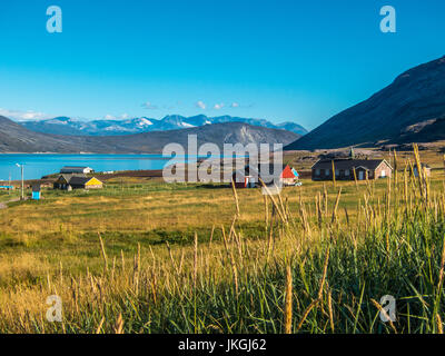 Igaliku piccolo villaggio in estate, Groenlandia Foto Stock