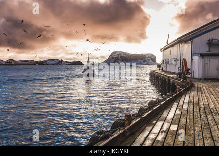 Tradizionale porto di pesca della Norvegia sull isola di Rost, Lofoten Foto Stock