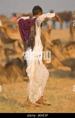 Camel herder all'annuale Fiera di Pushkar nel Rajasthan, India Foto Stock