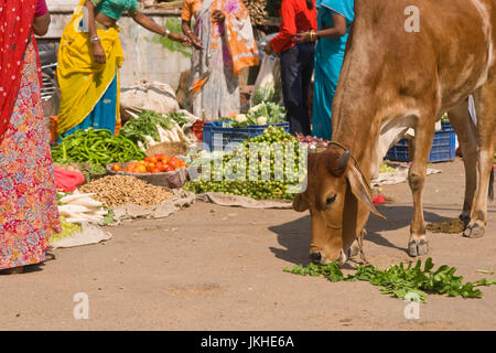 Indian street scene. Mucca mangiare vegetazione a un mercato sul ciglio della strada. Onorevoli colleghe in sari colorati's Foto Stock