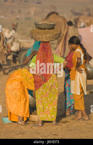 Gruppo di colorfully vestito le donne indiane la raccolta di sterco di cammello al cammello annuale fiera di Pushkar, Rajasthan, India. Foto Stock