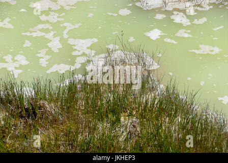 West Thumb Geyser Basin, Paint Pots, il Parco Nazionale di Yellowstone Foto Stock