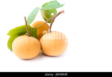 Fresca frutta santol isolati su sfondo bianco Foto Stock