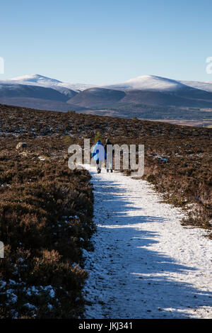 Passeggiata invernale nelle colline Foto Stock