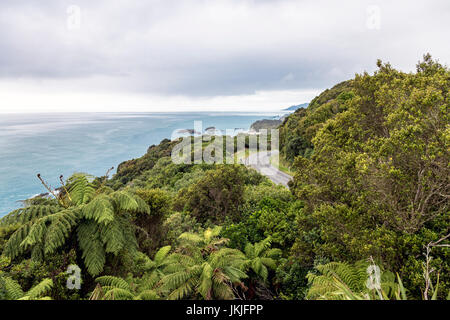 Strada pur lussureggiante paesaggio verde sulla costa occidentale dell'Isola Sud, Nuova Zelanda Foto Stock