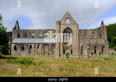 Rovine di Tintern Abbey in Galles, Regno Unito Foto Stock