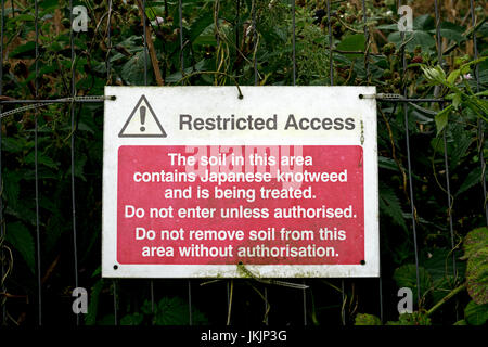 Knotweed giapponese segno, Worcestershire, Regno Unito Foto Stock