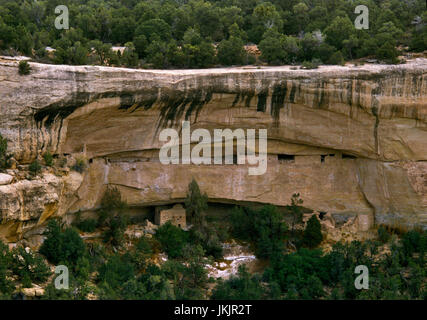 Sunset House Anasazi cliff abitazione, Mesa Verde, Colorado: vista E dal punto di Sun si affacciano su SW loop di rovine Strada: C13th arenaria strutture in muratura Foto Stock