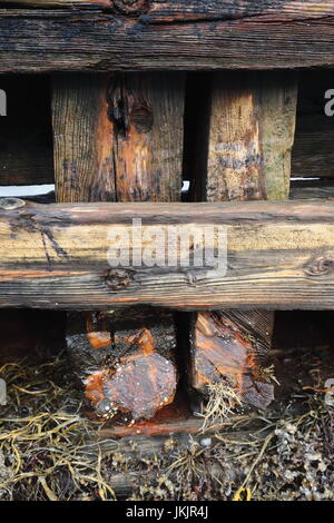 Naufraghi imbarcazione in legno arenarsi-Sildpolltjonna bay bottom-south shore penisola Sildpollnes-Austnesfjorden. Vista ravvicinata del fasciame e framework. Vaga Foto Stock