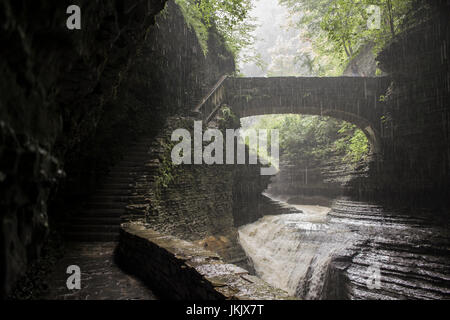 Watkins Glen State Park, New York Foto Stock