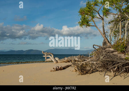 Sulla spiaggia di Isola Verde, Queensland, Australia Foto Stock