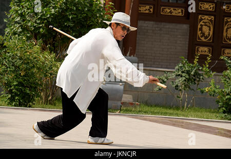 Il tai chi chi kung, master Foto Stock
