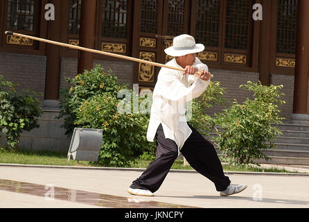 Il tai chi chi kung, master Foto Stock