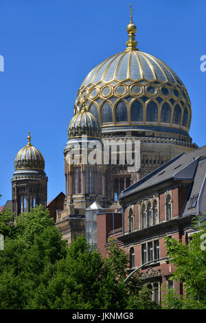 La sinagoga, Oranienburger street, medio, Berlino, Germania, sinagoga, Oranienburger Strasse, Mitte, Deutschland Foto Stock