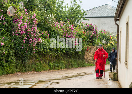 Pellegrini in cammino Camino de Santiago, Galizia, Spagna, Europa. Foto Stock