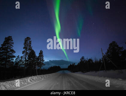 Vista panoramica delle aurore boreali sulla coperta di neve strada in mezzo silhouette di alberi di notte Foto Stock