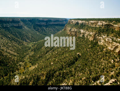 Guardando verso sud per la soda Canyon, il Parco Nazionale di Mesa Verde, Colorado, Stati Uniti d'America, dal carbonato Canyon Overlook. Balcone Casa dimora scogliera a destra sotto la rim. Foto Stock