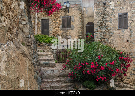 Sant'Antonino, Corsica, Francia Foto Stock