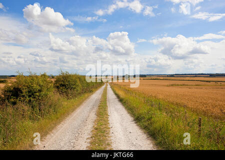 Un calcare bianco bridleway e fattoria via in un paesaggio agricolo sotto un cielo di estate blu nel yorkshire wolds Foto Stock