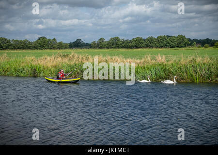 Canoa un inflateable canoa sul fiume Waveney, Geldeston serratura, Norfolk, East Anglia, piombo da due cigni. Foto Stock