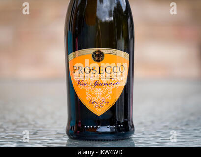 Bottiglia di Prosecco e un italiano vino bianco ottenuto da uve glera e prende il nome da un villaggio italiano. Foto Stock