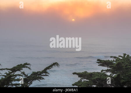 Oceano Pacifico Foggy tramonto con cipressi. Foto Stock