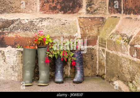 Coppie di wellingtons utilizzata come pianta insolita pot contenitori esterni vecchia chiesa, Chiesa di Santa Maria, Haddington, East Lothian, Scozia, Regno Unito Foto Stock