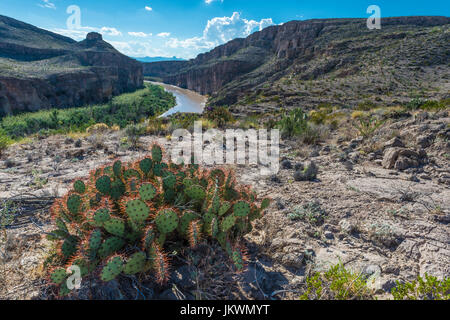 Rio Grande Fiume nel Parco nazionale di Big Bend Foto Stock