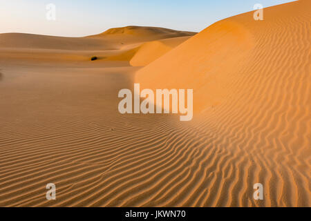 Le dune di sabbia in mattina presto luce vicino alla Serra Cafema Camp in Namibia. Foto Stock