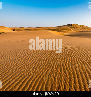 Le dune di sabbia in mattina presto luce vicino alla Serra Cafema Camp in Namibia. Foto Stock