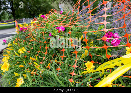 Disposizione colorati di fiori legati giù da orange scherma e costruzione fa per una bella scena. Foto Stock