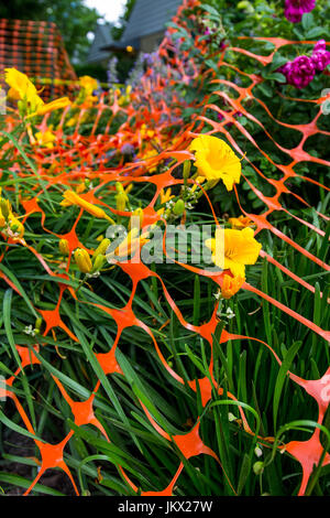 Disposizione colorati di fiori legati giù da orange scherma e costruzione fa per una bella scena. Foto Stock