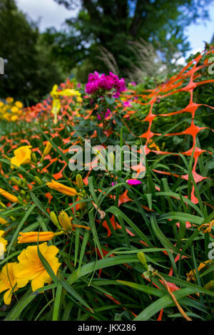 Disposizione colorati di fiori legati giù da orange scherma e costruzione fa per una bella scena. Foto Stock