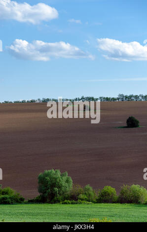 Molla bellissimo campo arato e alberi Foto Stock