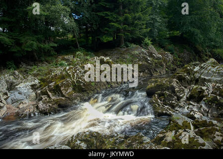 Cade di feugh banchory aberdeenshire Foto Stock