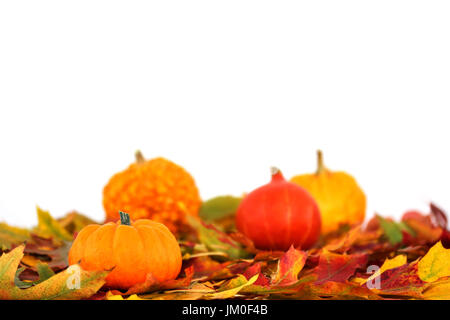 Diverse varietà di zucca giacciono su foglie colorate Foto Stock