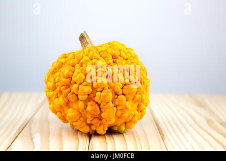 Una zucca decorativa (america tonda) giacente su legno con sfondo per un testo Foto Stock