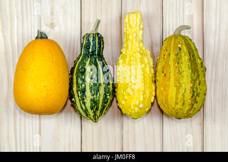 Molti bei diverse zucche giacciono su legno Foto Stock