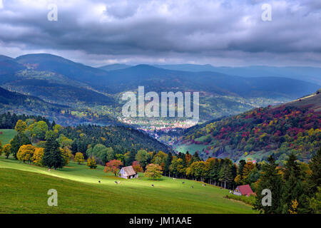 Un autunno vista del Ballons des Vosges natura park in Alsazia, Francia Foto Stock