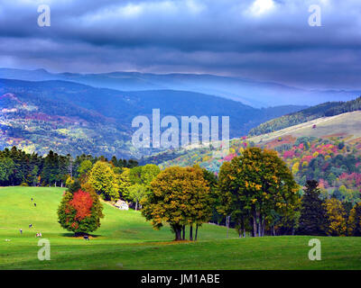 Un autunno vista del Ballons des Vosges natura park in Alsazia, Francia Foto Stock