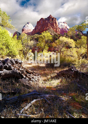 Una vista, nella stagione autunnale, del paesaggio di montagna del parco nazionale di Zion, Utah, Stati Uniti d'America Foto Stock