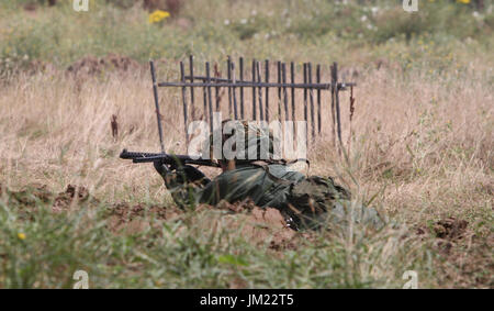 Hop Farm, Kent, Regno Unito. Xxv Luglio, 2017. Guerra e Pace Revival 2017 Credit: theodore liasi/Alamy Live News Foto Stock