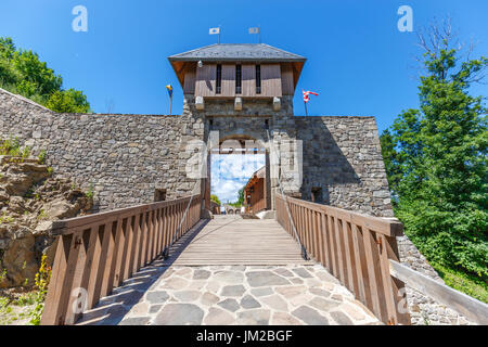Ponte e porta in un vecchio castello, il castello di Fuzer, Ungheria Foto Stock
